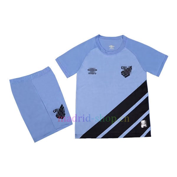 Camiseta de españa de futbol baratas